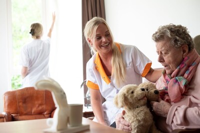 ZG st maarten 8 4 26